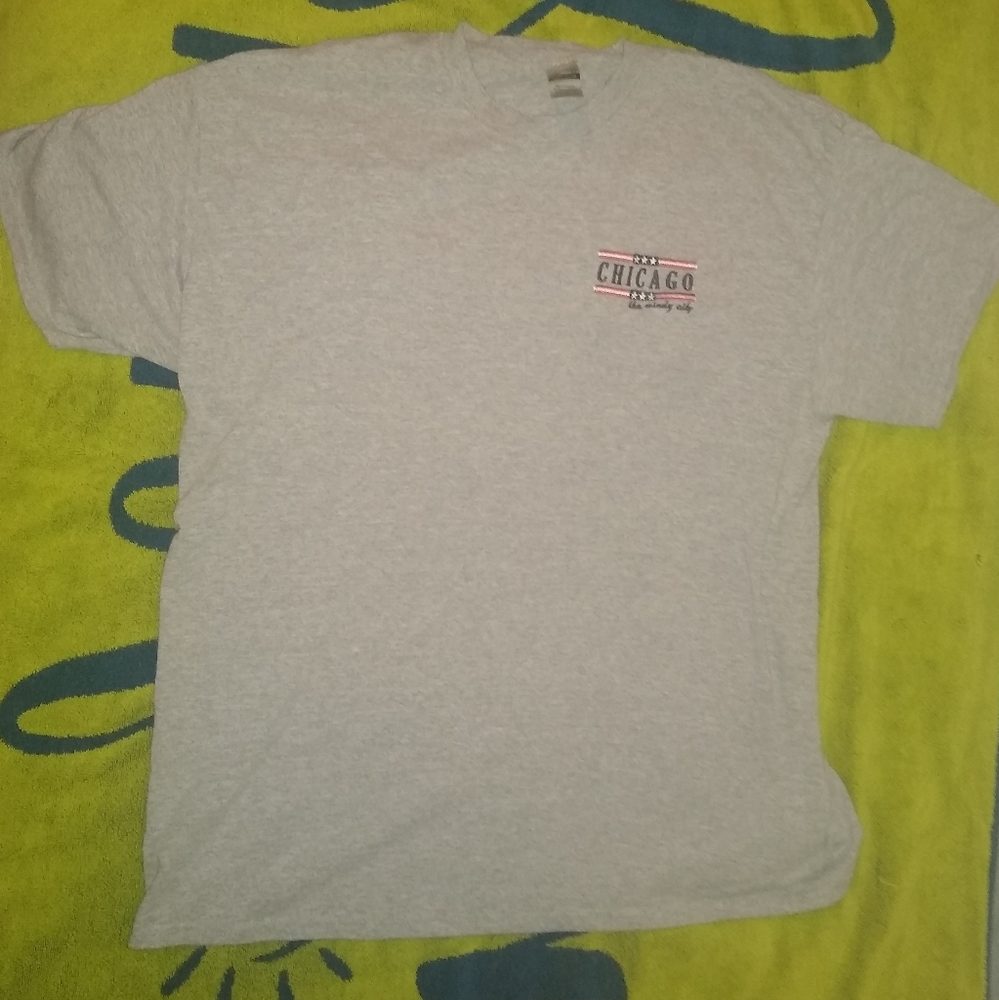 Gildan embroidered Windy City Chicago heavy cotton T-shirt